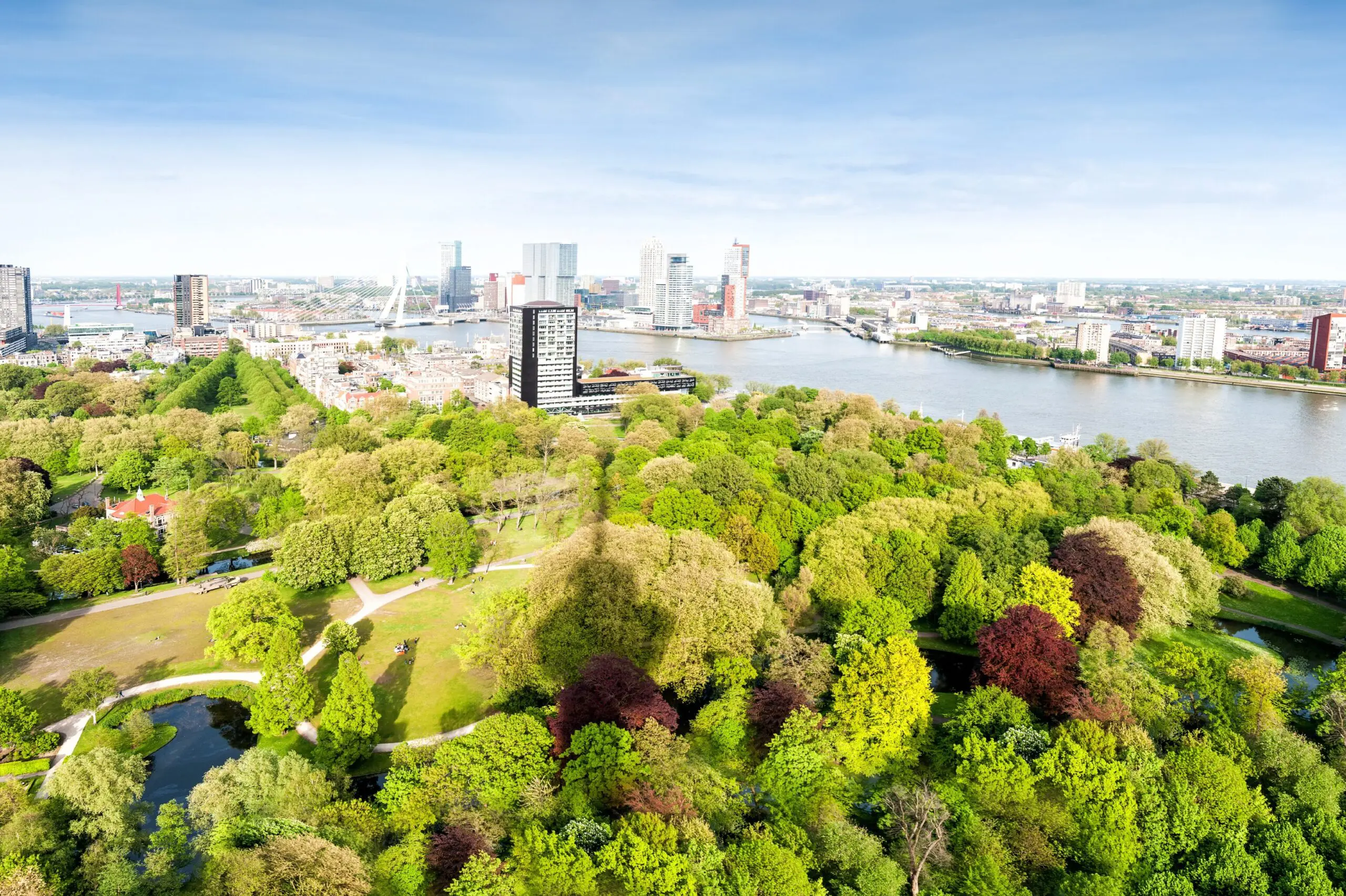 Spido blog natuurliefhebber