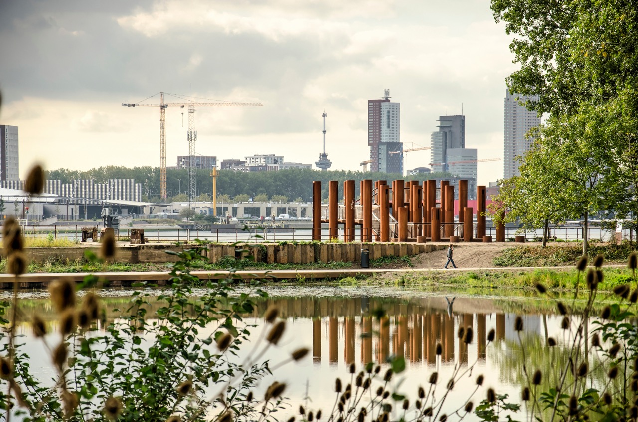 Rotterdam Brienenoord island